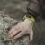 Cloud Computing Empowers Scalable, Flexible Workforces